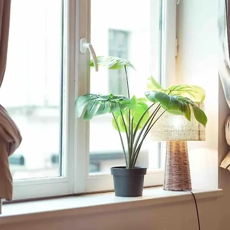 Superbe - Coeur Du Vieux-lille Apartamento *