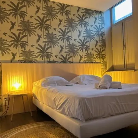 Superbe - Coeur Du Vieux-lille